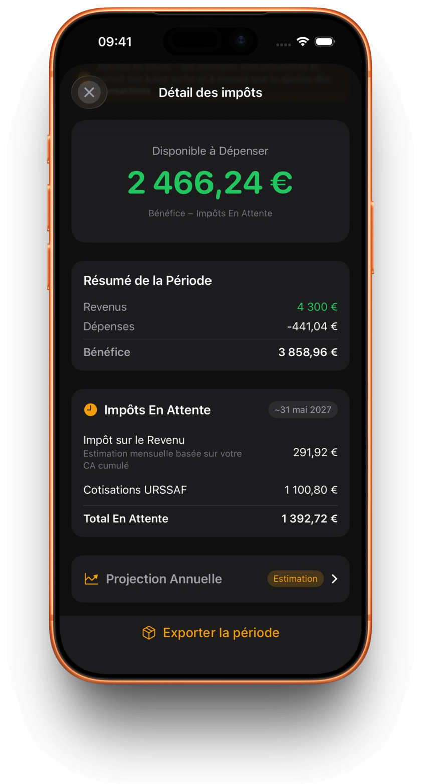 Nett affichant le bilan fiscal et l’argent disponible